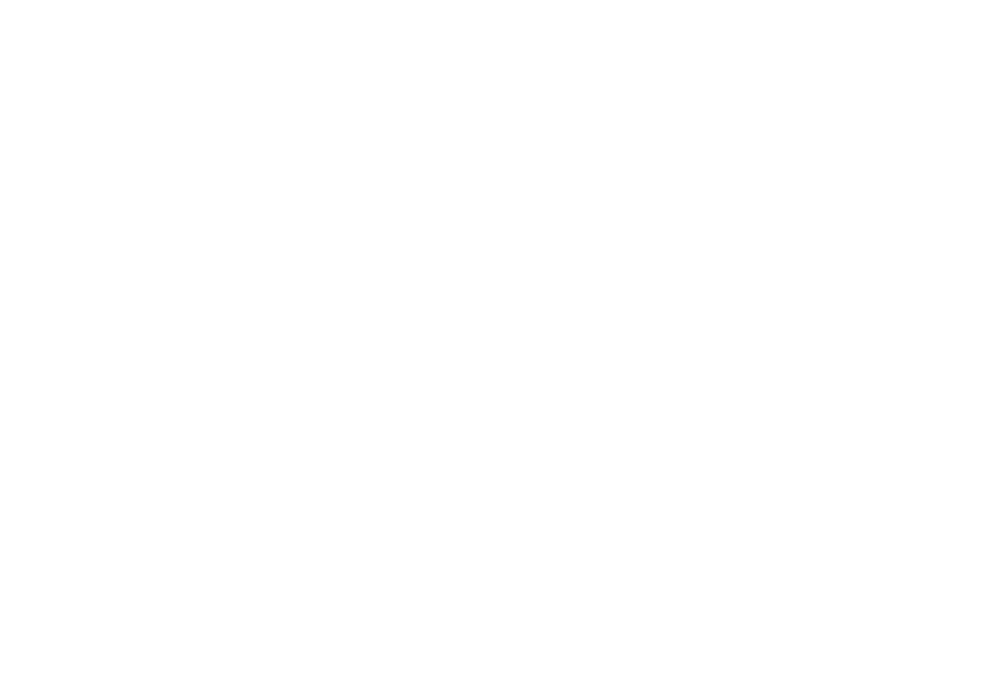 damm logo
